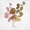 Blush Foliage 1 - Cuadrostock