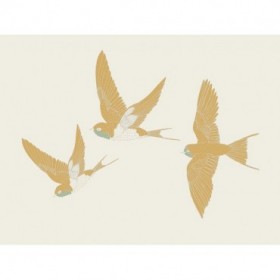Golden Swallows - Cuadrostock