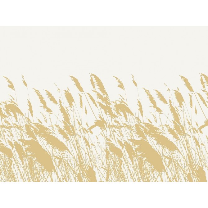 Nature Inspired Wild Grasses - Cuadrostock