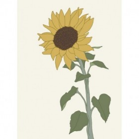 Sunflower 2 - Cuadrostock