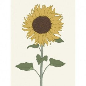 Sunflower 1 - Cuadrostock