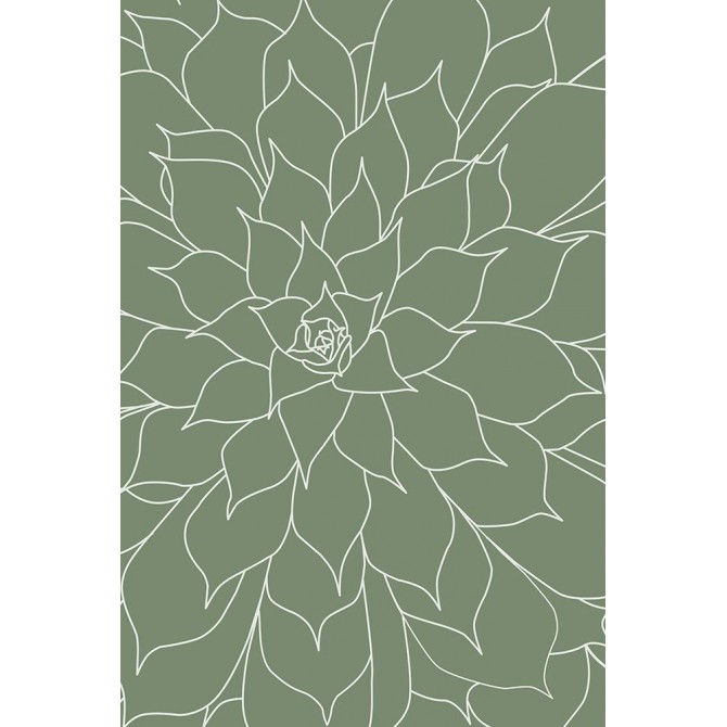 Succulent Sage Green - Cuadrostock