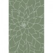 Succulent Sage Green - Cuadrostock