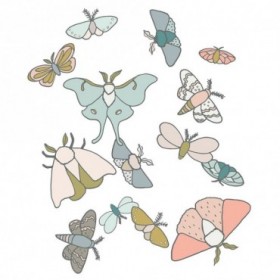 Moths Flutter - Cuadrostock
