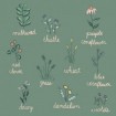 Wildflower Chart - Cuadrostock