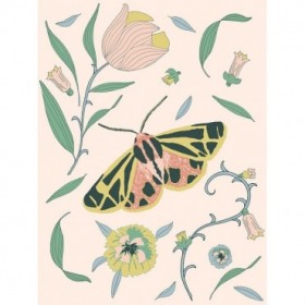 Botanical Tiger Moth - Cuadrostock
