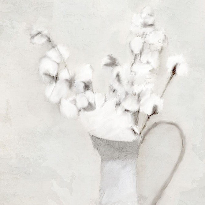 Vase Of Cotton - Cuadrostock