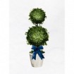 Topiaries 1 - Cuadrostock