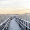 Wooden Pier - Cuadrostock