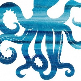 Ombre Octopus Reverse - Cuadrostock
