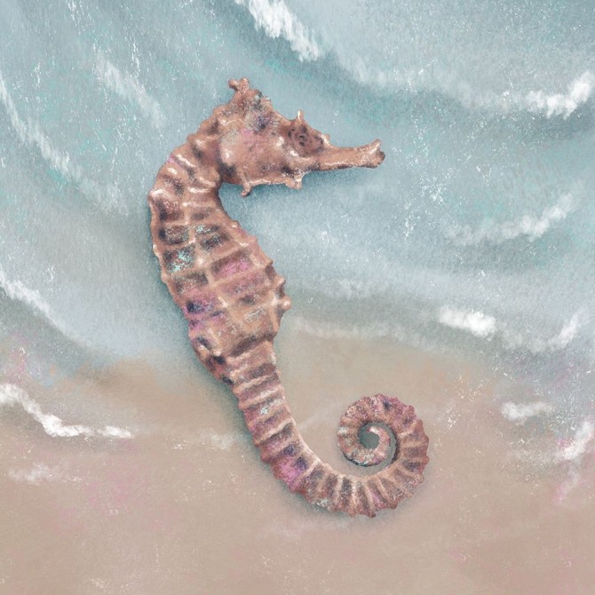 Peaceful Sea Creature - Cuadrostock
