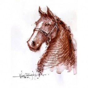Horse 2 - Cuadrostock