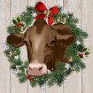 Merry Cow - Cuadrostock