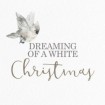 Dreaming Of A White Christmas Bird - Cuadrostock