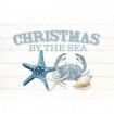 Christmas By The Sea - Cuadrostock