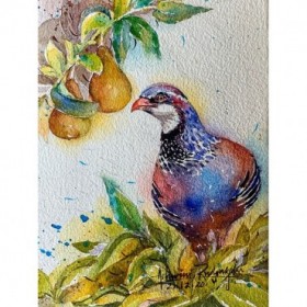 Partridge In Pear Tree - Cuadrostock