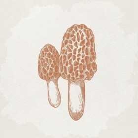 Mushroom Love 3 - Cuadrostock