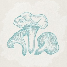 Mushroom Love 1 - Cuadrostock