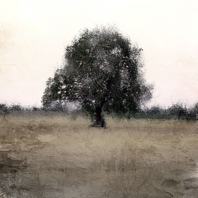 Tree Silhouette - Cuadrostock