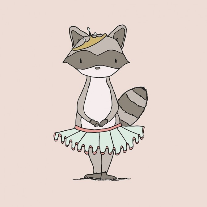 Raccoon Princess - Cuadrostock