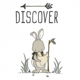 Bunny Discover - Cuadrostock