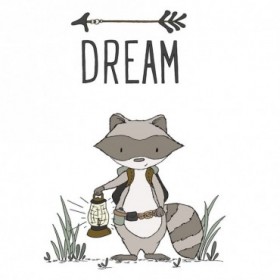 Raccoon Dream - Cuadrostock
