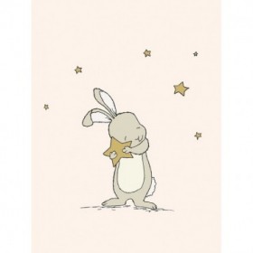 Bunny Holds A Star - Cuadrostock