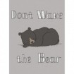 Dont Wake The Bear - Cuadrostock