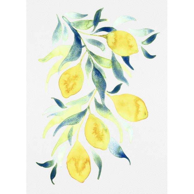 Watercolor Lemons - Cuadrostock