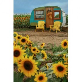 Vintage Camper and Sunflowers 1 - Cuadrostock
