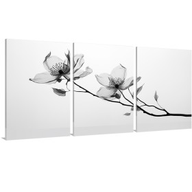 Cuadros triples: Flor blanco y negro rayos X