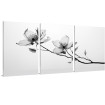 Cuadros triples: Flor blanco y negro rayos X