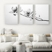 Cuadros triples: Flor blanco y negro rayos X
