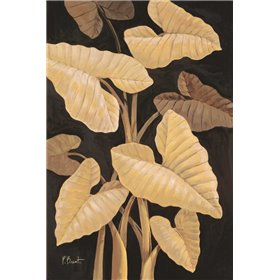 Tropical Leaves - Cuadrostock