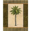 East Indies Palm II - Cuadrostock