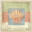 Montego Scallop - Cuadrostock