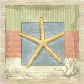 Montego Starfish - Cuadrostock