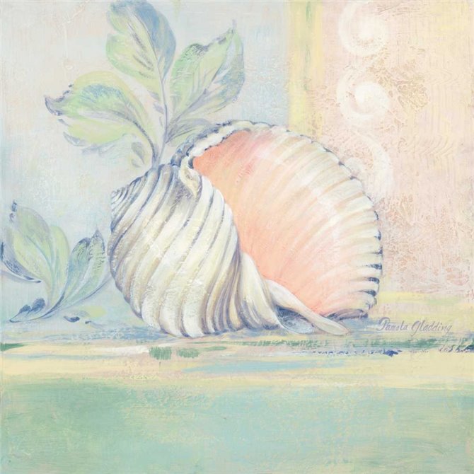 Tranquil Seashells II - Cuadrostock