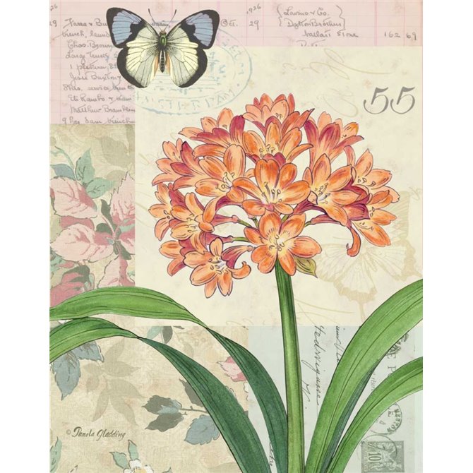 Clivia Floral Collage - Cuadrostock