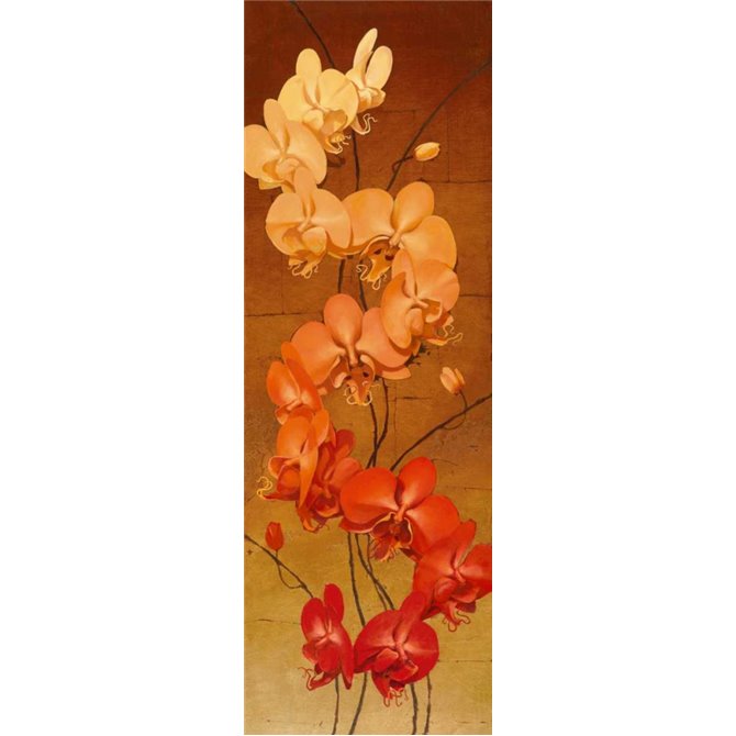 Golden Orchids II - Cuadrostock