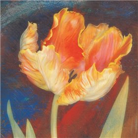 Dusk Tulip I - Cuadrostock