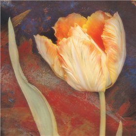 Dusk Tulip II - Cuadrostock