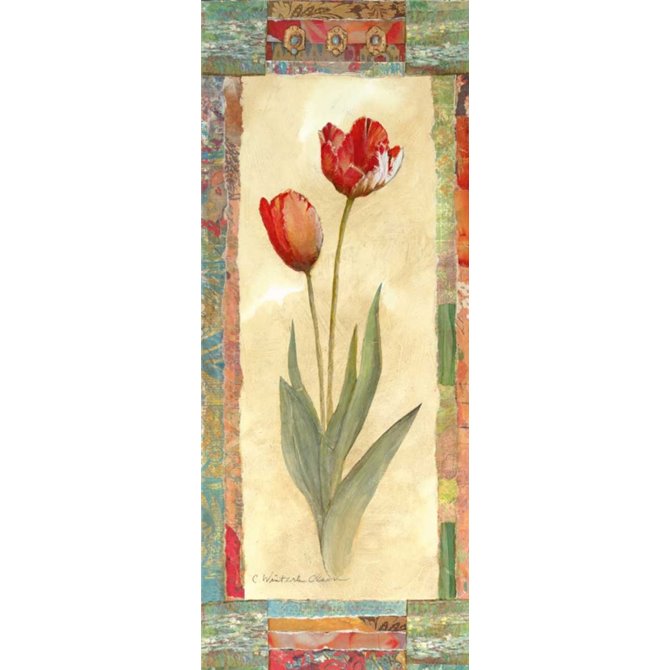 Tulip Montage - Cuadrostock