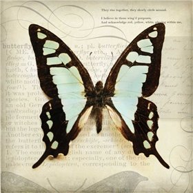 Butterflies Script I - Cuadrostock