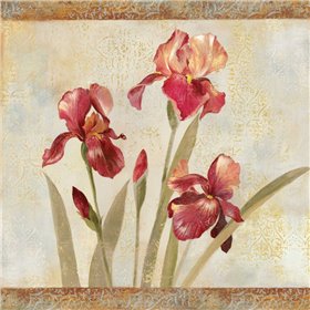 Iris Tapestry I - Cuadrostock
