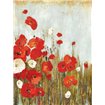 Poppies in the Wind - Cuadrostock