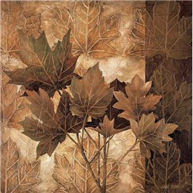 Leaf Patterns II - Cuadrostock