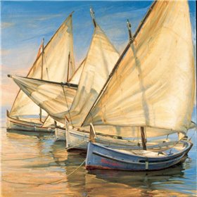 Windward Latin Sails - Cuadrostock