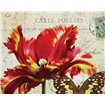 Carte Postale Tulip I - Cuadrostock