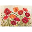 Poppies - Cuadrostock